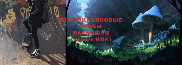 дживик Кодинск