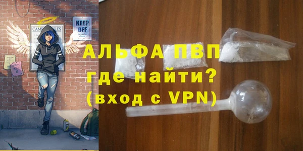 гашик Козловка