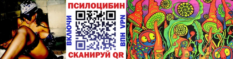 Купить где  Пыть-Ях  Псилоцибиновые грибы мухоморы 